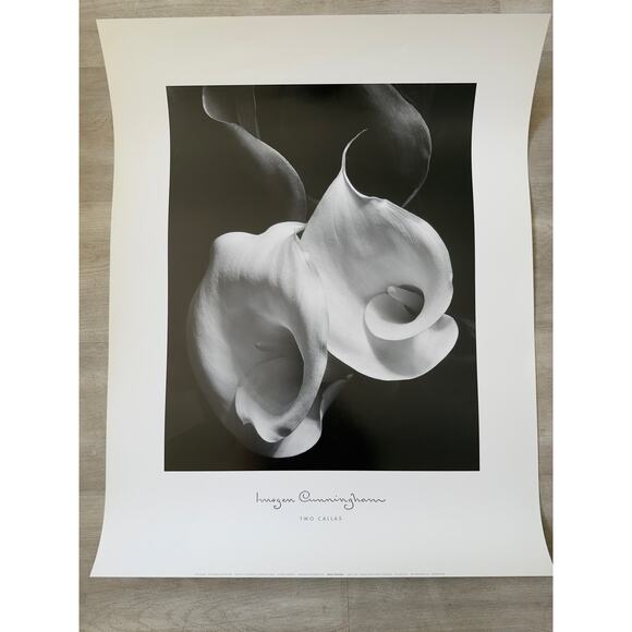 Imogen Cunningham “Two Callas” Fine Art Print 28” x 22” 1997 printed in USA - Picture 1 of 10